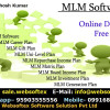 Binary plan,career plan,rd fd mlm